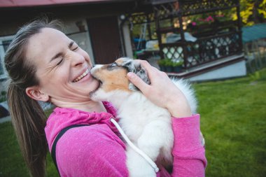 Çılgın Avustralyalı çoban köpeği güzel sahibiyle oynuyor. Dişi köpek kadının yüzünü ısırır ve oynar. Yavru köpeğini kollarına alan bir kadın. Kadın ve köpek arasındaki ilişki.