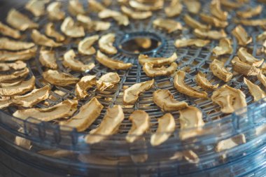 Dilimlenmiş elma. Yağmurlu bir gün için şekerler. Sebze ve meyveleri kurutan bir cihaz. Eylül, Ekim ve Kasım aylarında mevsimlik yiyecekler.