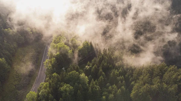 上から手付かずの自然を眺めます 朝の霧と日の出の下で混合林 新鮮な酸素を作るのに十分な水分を持つ世界の肺 — ストック写真