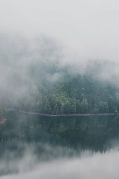 Βροχερό Και Ομιχλώδες Πρωινό Στο Φράγμα Σανς Αντανάκλαση Φυλλοβόλου Δάσους — Φωτογραφία Αρχείου