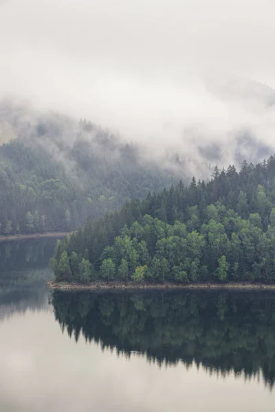 Дождливое Туманное Утро Дамбе Санс Отражение Лиственных Лесов Поверхности Воды — стоковое фото