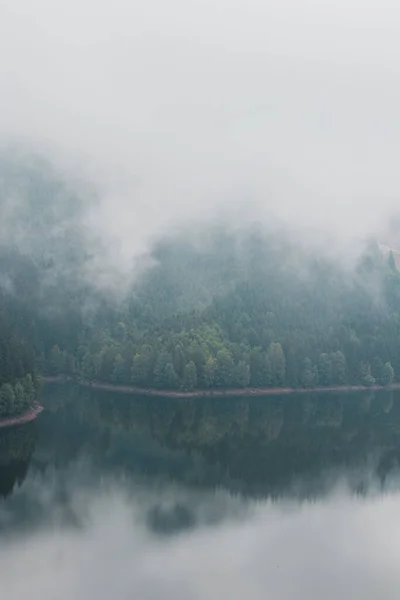 Дождливое Туманное Утро Дамбе Санс Отражение Лиственных Лесов Поверхности Воды — стоковое фото
