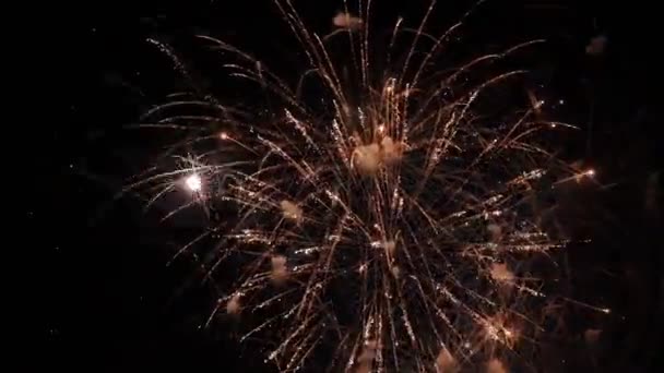 Firework Night Sky Abstract Multicolor Golden Shining Glowing Fireworks Show — Vídeo de Stock