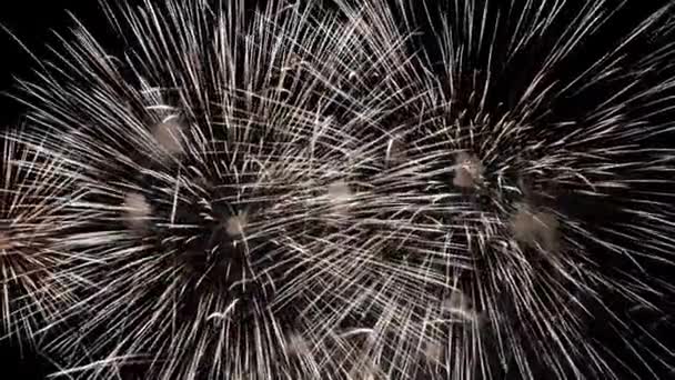 Great Natural Color Fireworks Loop Seamless Real Fireworks Background Abstract — Vídeo de Stock
