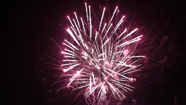 High Quality Fullhd Footage Great Natural Color New Years Eve — Vídeo de Stock