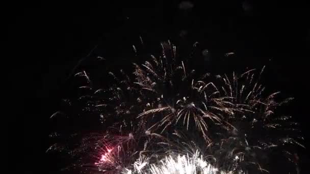 Lazo Sin Fisuras Fondo Fuegos Artificiales Reales Desenfoque Abstracto Fuegos — Vídeo de stock