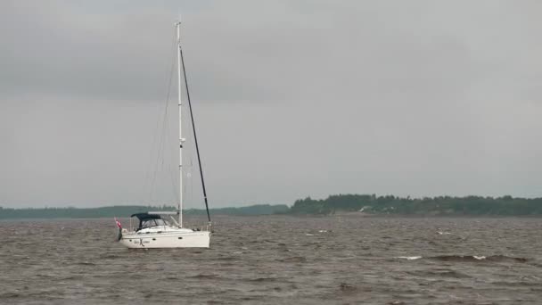 風の波の中でヨットセーリング 太陽の下での孤独な帆走イノシシのレースは ふわふわの雲で輝きます 穏やかな水の風景と交通機関 高品質4K映像 — ストック動画
