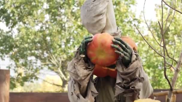 Halloween Tökember Sütőtök Zabkását Főz Halloween Ünnepe Halloween Jelmez Tökfej — Stock videók