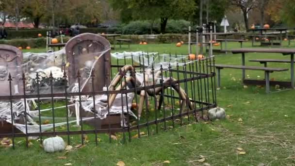 Esqueleto Está Cemitério Uma Aranha Rasteja Nele Halloween Celebração Halloween — Vídeo de Stock