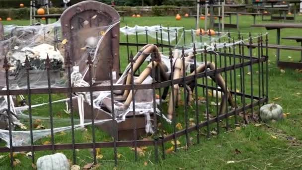 骷髅躺在墓地里 一只蜘蛛爬在上面 万圣节 万圣节庆祝活动 万圣节服装 南瓜头脸 头上顶着大南瓜的女人或男人 — 图库视频影像