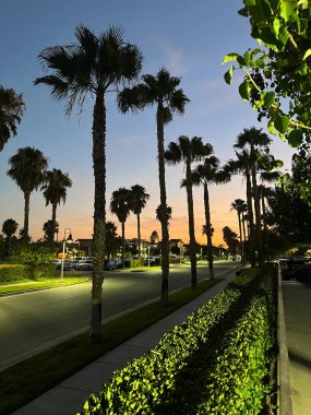 Bir Rancho Cucamonga Kaliforniya Dağları Çölde yollar ve ağaçlarla