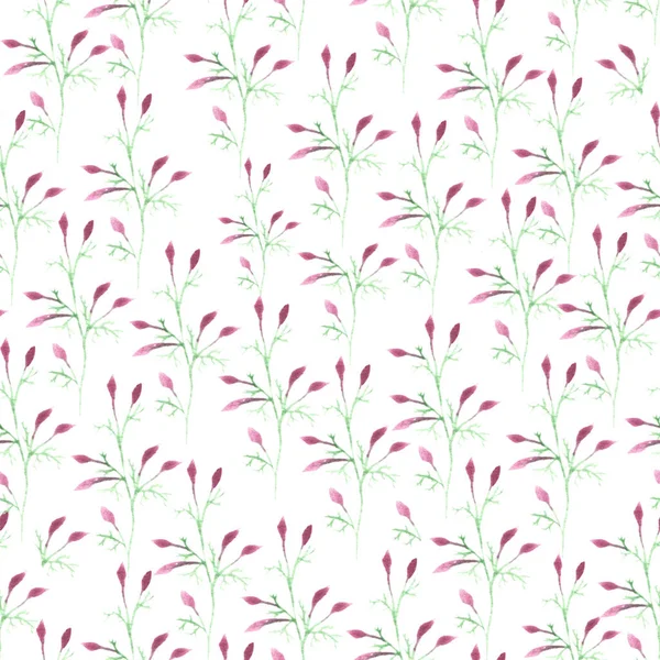 Pink Flowers Purple Flowers Watercolor Seamless Pattern Painted Myself Watercolor — Foto Stock