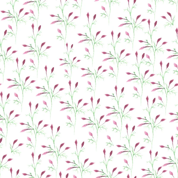 Seamless Pattern Hand Drawn Floral Elements Spring Background Leaves Watercolor — Stock Photo, Image