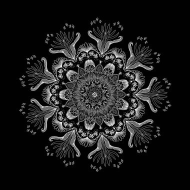 1 Bees - Symmetrical Patterns