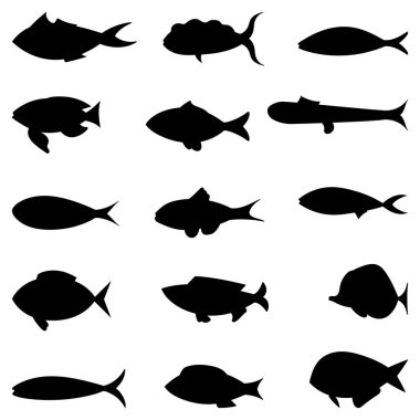 Fish vector design illustration isolated on white background