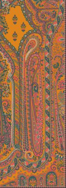 Güzel etnik sınır, çiçekler ve tekstil dijital motifler. Paisley motifleri desenli tasarım sanat illüstrasyonu geleneksel tasarım motifleri..