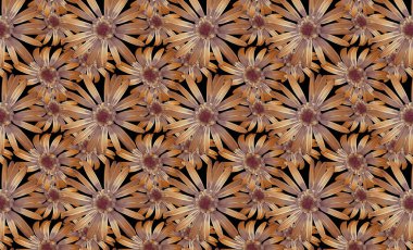 El, suluboya zambak deseni çizer: suluboya çiçek deseni, çiçek deseni, beyaz ve turuncu zambak, çiçek duvar kağıdı, koyu arkaplan.