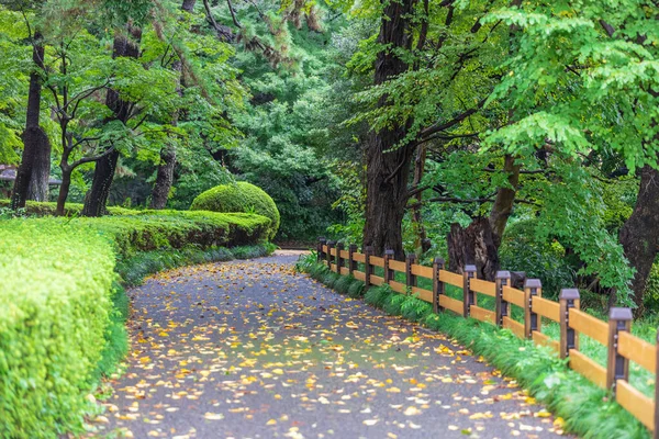 Shinjuku Gyoen Raining Day — Stockfoto