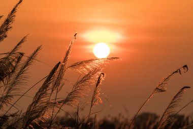 Colorful Sunrise northern thailand