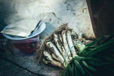 Genç bir Katalan soğanı, tipik katalan yemeği. Romesco sosuyla yenir.