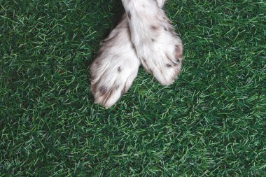 siyah tuşlar, eski bir daktilodan.