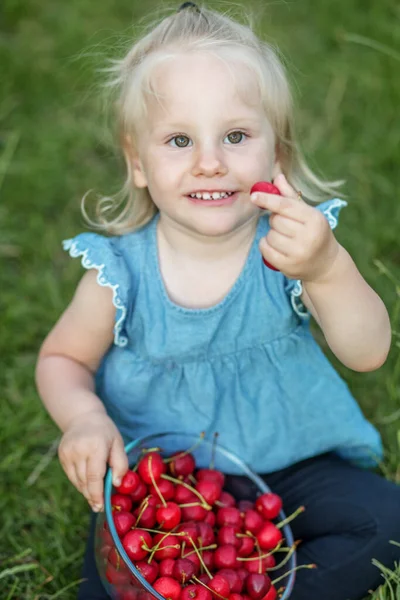 Sommererntezeit Gesunde Bio Kirschen — Stockfoto