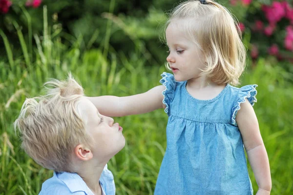 Kisfiú Meg Akarja Csókolni Húgát Gyerekek Játszanak Bolondoznak Természetben Kis — Stock Fotó