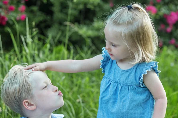 Kisfiú Meg Akarja Csókolni Húgát Gyerekek Játszanak Bolondoznak Természetben Kis — Stock Fotó