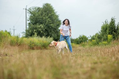Enerjik bir Labrador Retriever köpeği çayırda metresiyle oynar, koşar ve atlar..