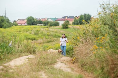 Enerjik bir Labrador Retriever köpeği çayırda metresiyle oynar, koşar ve atlar. Evcil hayvan oyunu, evcil hayvan konsepti.