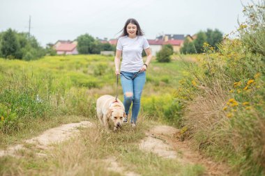 Enerjik bir Labrador Retriever köpeği çayırda metresiyle oynar, koşar ve atlar..