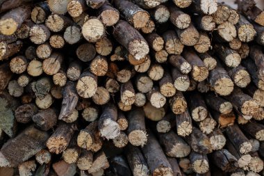 Doğal ahşap arka plan. Yakacak odun gördüm. Yakacak odun yığıldı ve kış için hazırlandı. Tahta deste yığını.