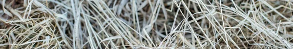 Schöne Natürliche Hintergrund Von Trockenem Gras Spätherbst Das Kalte Wetter — Stockfoto