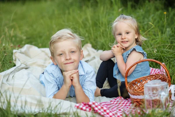 Picknick Freien Lustiges Glückliches Baby Bruder Und Schwester Sitzen Der — Stockfoto