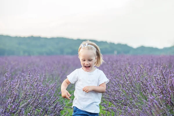 Küçük kız lavanta tarlasında koşuyor. Çocuk fantezisi. Güzel, neşeli, sarışın küçük kız. Neşeli çocuk.