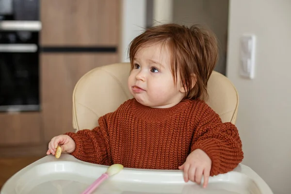 Delicious pumpkin and apple puree for babies. Toddler girl in brown sweater. Babysitter feeds small newborn baby in kitchen.