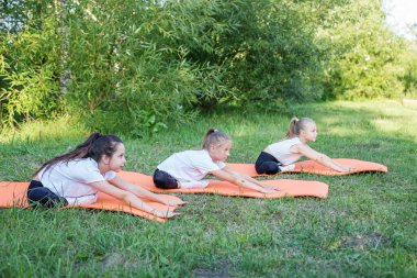 Group of children are doing exercises and stretching in nature using sports mats. Workout with gymnastics or aerobics or dance. Healthy lifestyle