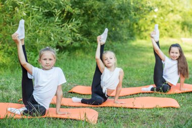 Group of children are doing exercises and stretching in nature using sports mats. Workout with gymnastics or aerobics or dance. Healthy lifestyle