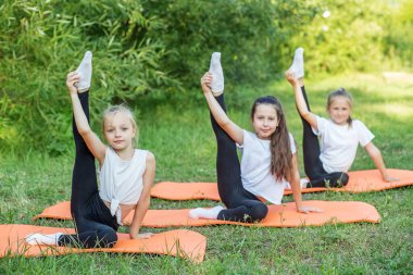 Group of children are doing exercises and stretching in nature using sports mats. Workout with gymnastics or aerobics or dance. Healthy lifestyle