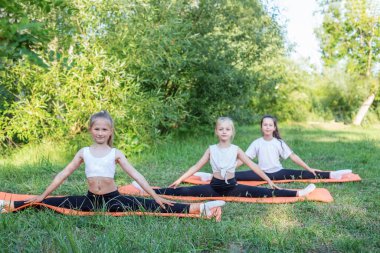 Group of children are doing exercises and stretching in nature using sports mats. Workout with gymnastics or aerobics or dance. Healthy lifestyle