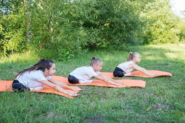 Group of children are doing exercises and stretching in nature using sports mats. Workout with gymnastics or aerobics or dance. Healthy lifestyle