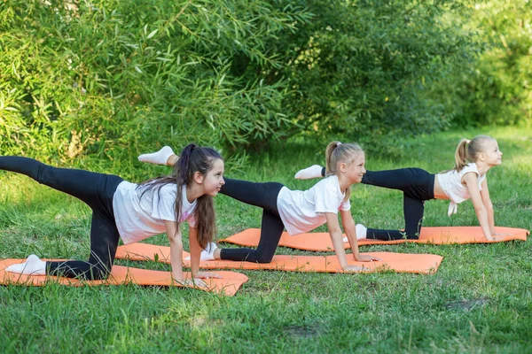 Group of children are doing exercises and stretching in nature using sports mats. Workout with gymnastics or aerobics or dance. Healthy lifestyle