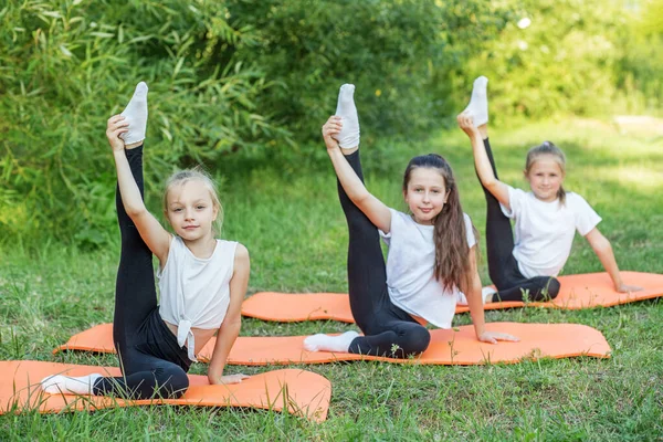 Group Children Doing Exercises Stretching Nature Using Sports Mats Workout — Foto de Stock