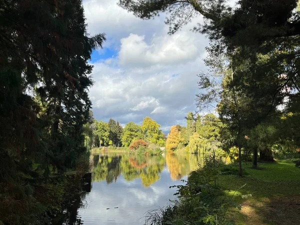 Nehirde sarı yapraklı ağaç; Bltter am See