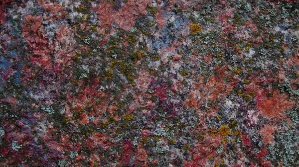 red granite polymer when approached with moss