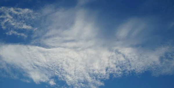 Blue Sky Background White Fluffy Cloud — Stock Photo, Image