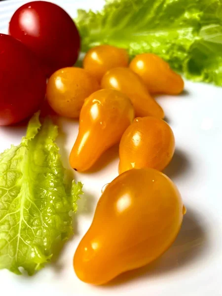 Salad Health Food Tasty — Stock Fotó
