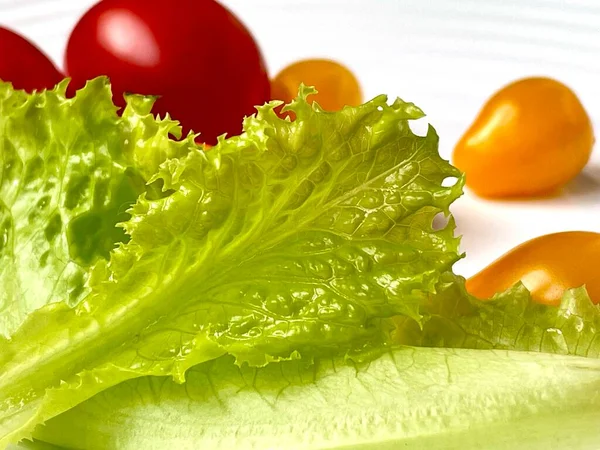 Salad Health Food Tasty — Stock Photo, Image