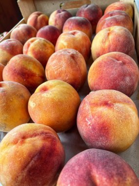 Şeftali Sonbaharı Eylül Lezzetli Renkler Ukrayna 