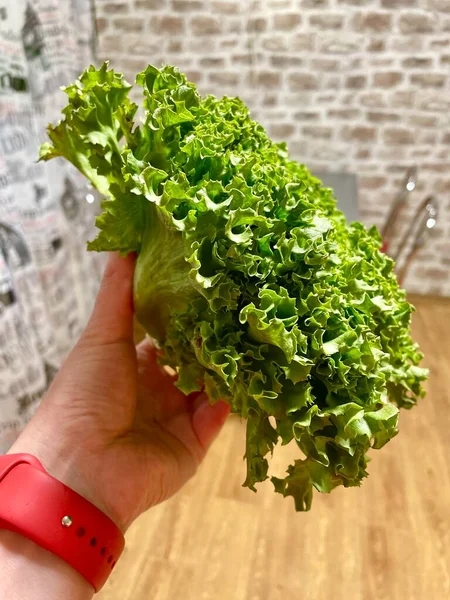 Salad Lettuce Green Вітаміни Здоров — стокове фото